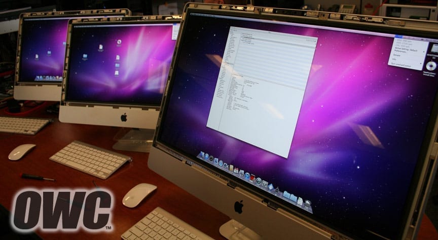 change apple language on word for mac 2011